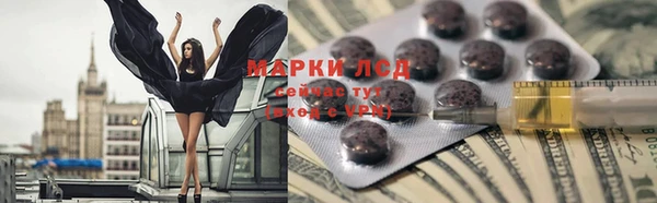 дживик Касимов