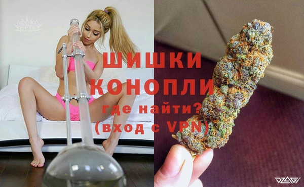 дживик Касимов