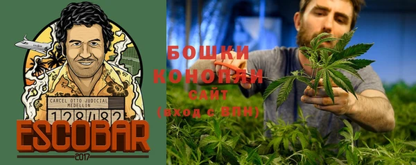 спайс Карпинск
